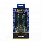 Cabo MFi Lightning para USB-C Verde | Sonserina Harry Potter