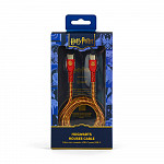 Cabo USB-C para USB-C Vermelho | Grifinória Harry Potter