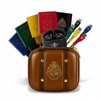 Combo 20 produtos - Harry Potter