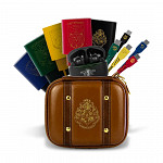 Combo 20 produtos - Harry Potter